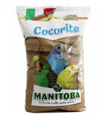 Manitoba miscuglio cocorite perruche