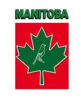 Manitoba canarino - senza biscotto