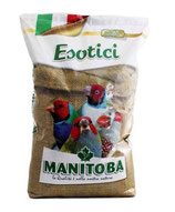 Manitoba miscuglio esotico