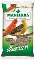 Manitoba Miscuglio Canarini