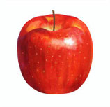 美味しいリンゴ