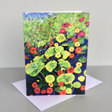 Nasturtiums Art Card