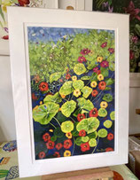 Nasturtiums Limited edition mounted print