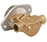 BOMBA CUMMINS 4B 3927684 REFERENCIA  SHEGC5