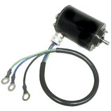 MOTOR TRIM OMC 983318 REFERENCIA  ARC6211