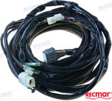 arnes ext. suzuki 5 m. con power trim  Ref: REC36620-93J02