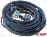 arnes ext suzuki 5 m. sin power trim   Ref: REC36620-94J01