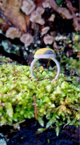 Handgearbeiteter Silberring mit Jaspis