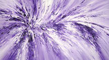 Violet Energy L 1
