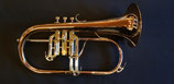 Jazzflügelhorn "Ringelblume" - Schmid