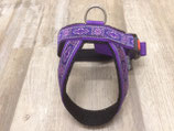 Chow-Chow Geschirr "Mongolei violett"