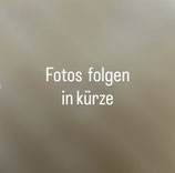 Scherenschnitt Pumphosen