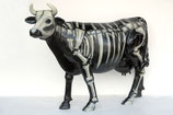 RIVH7005KH Kuh Figur lebensgroß Skelett