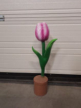 RIBEL258028 Tulpe Figur weiß rosa