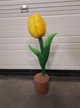 RIBEL258025 Tulpe Figur gelb