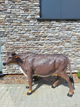 RIBEL253003 Stier Figur fast lebensgroß