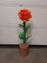 RIBEL258013 Rose Figur orange