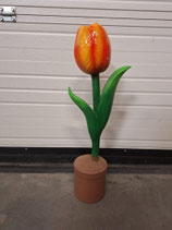 RIBEL258027 Tulpe Figur gelb orange
