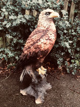 RIBEL240328 Adler Figur lebensgroß