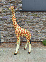 RIBEL202060 Giraffe Figur lebensgroß