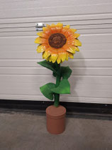 RIBEL258047 Sonnenblume Figur gelb orange