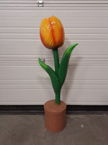 RIBEL258034 Tulpe Figur gelb orange