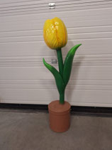 RIBEL258032 Tulpe Figur gelb