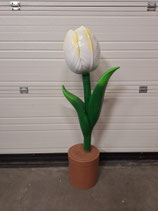 RIBEL258036 Tulpe Figur weiß