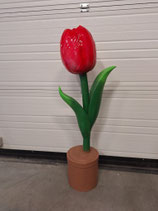 RIBEL258037 Tulpe Figur rot
