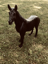 RIBEL224002 Pferde Figur schwarz