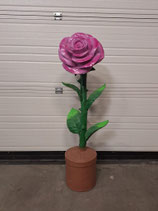 RIBEL258015 Rose Figur purpur