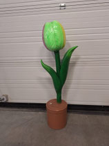 RIBEL258038 Tulpe Figur bunt