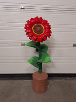 RIBEL258054 Sonnenblume Figur rot