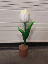 RIBEL258029 Tulpe Figur weiß