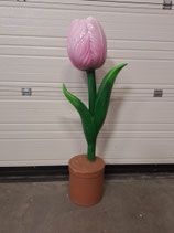 RIBEL258033 Tulpe Figur rosa