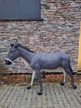 RIBEL254002 Esel grau Figur lebensgroß