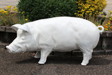 RIMC62AROH Schwein Figur groß weiß Rohling