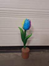 RIBEL258031 Tulpe Figur bunt