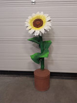 RIBEL258053 Sonnenblume Figur weiß