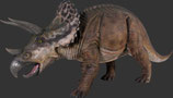 RIVH100048 Triceratops Dinosaurier Figur lebensgroß