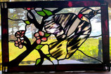 Woodpecker