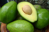 Produktname Avocad0
