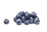 Blauwe bes
