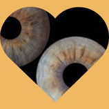 Valentins-Special Iris Lesung