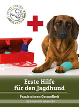 Erste Hilfe Box für den Jagdhund