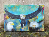 Adler