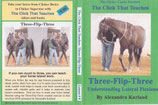 Lesson 8: Three-Flip-Three Understanding Lateral Flexions