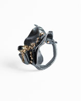 Anillo Nuvola