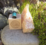 Zirbenwürfel + 10 ml BIO-Zirbenöl +20 g Zirbenspäne