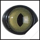Veiligheids ogen groen 10mm